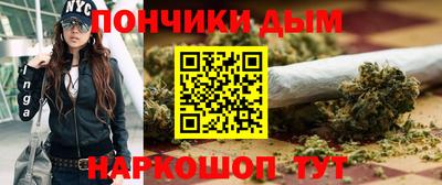 прущие грибы Будённовск