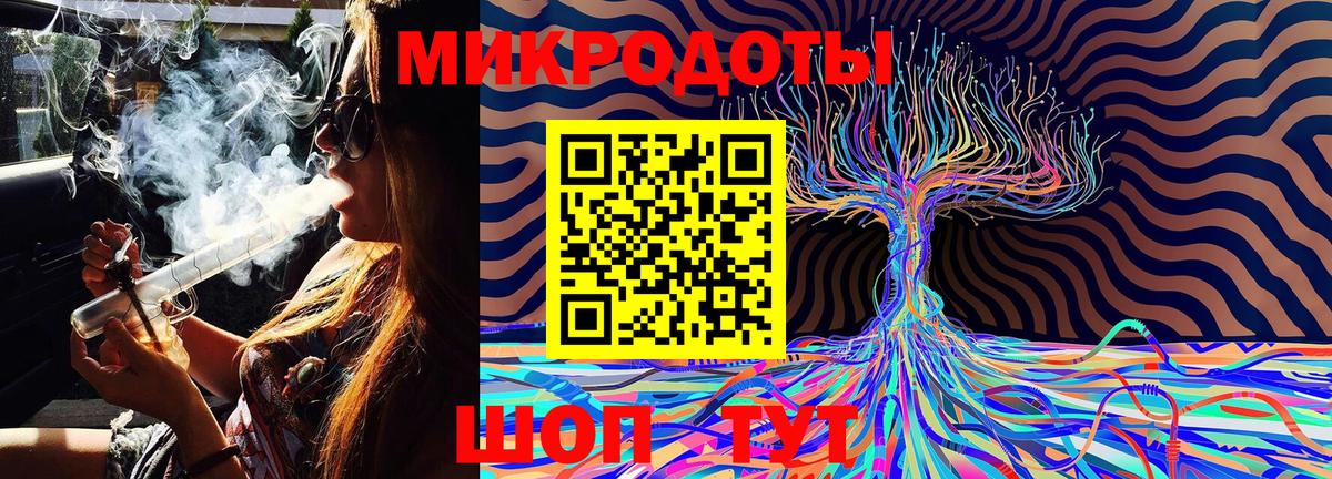 Галлюциногенные грибы Psilocybine cubensis Нарткала
